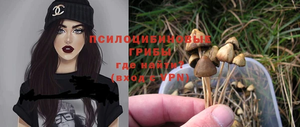 гашик Алзамай