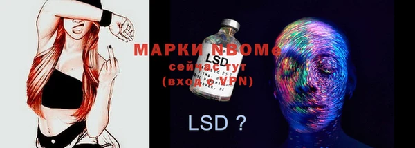 дмт Аркадак