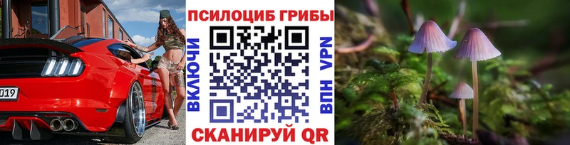 Псилоцибиновые грибы Psilocybine cubensis  Кремёнки 